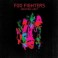 Foo Fighters - Wasting light  CD