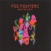 Foo Fighters - Wasting light  2LP