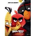 Angry Birds Movie  DVD