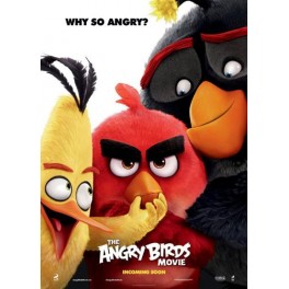 Angry Birds Movie  DVD