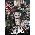 Suicide squad  DVD