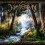 Wintersun - The forest seasons  CD
