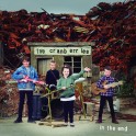The Cranberries - In the end  LP