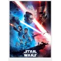 Star Wars IX - Zrodenie Skywalkera  DVD