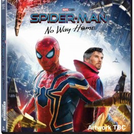 Spider-man - Bez domova  DVD